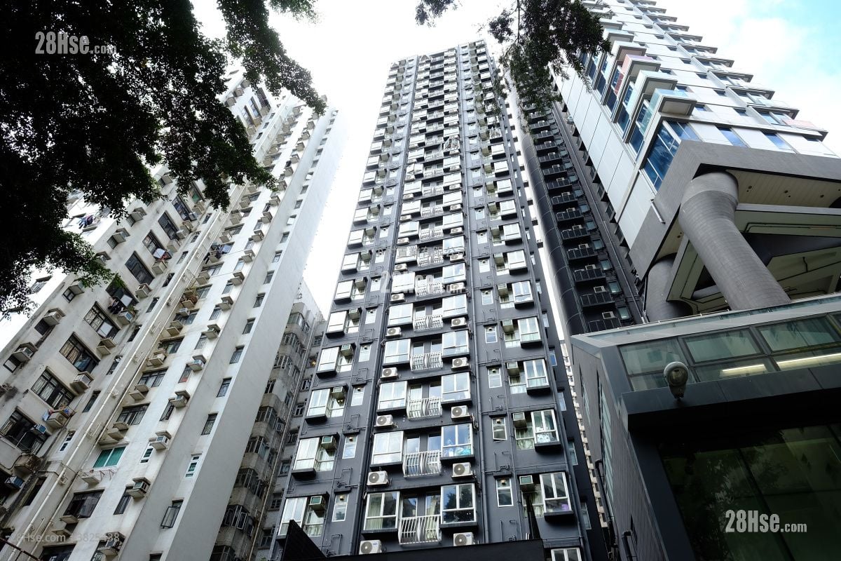 building outlook: Lodgewood Rental 2 Bedrooms , 1 Bathroom 320 ft²