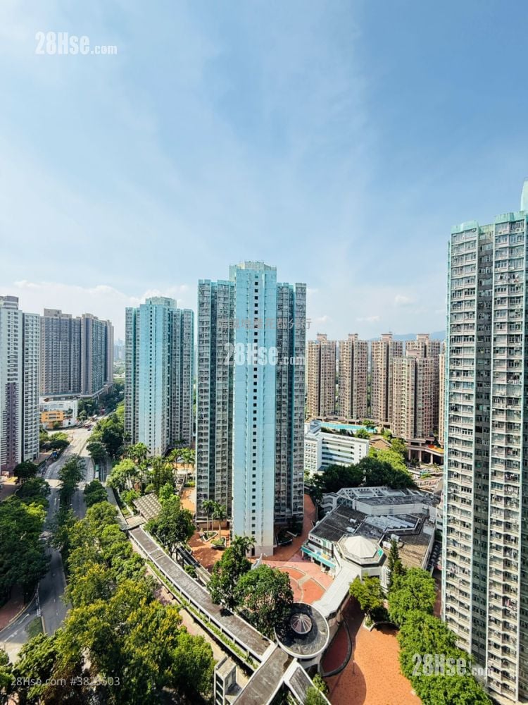 花都廣場 租盤 2 房 , 1 浴室 392 平方呎