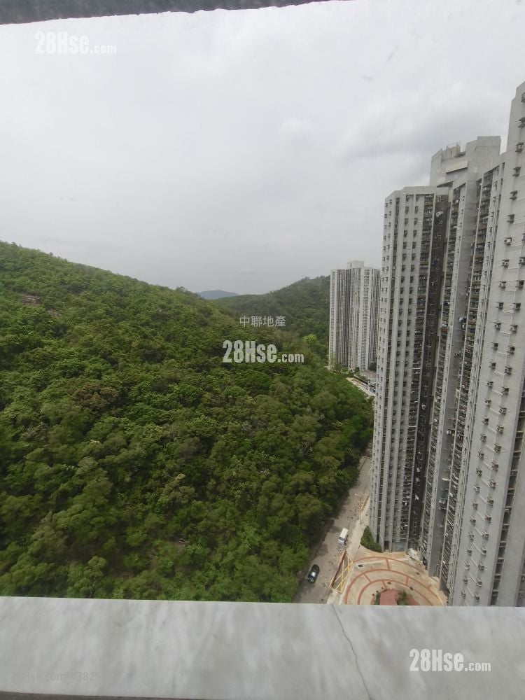 青华苑 售盘 3 房 , 1 浴室 645 平方尺