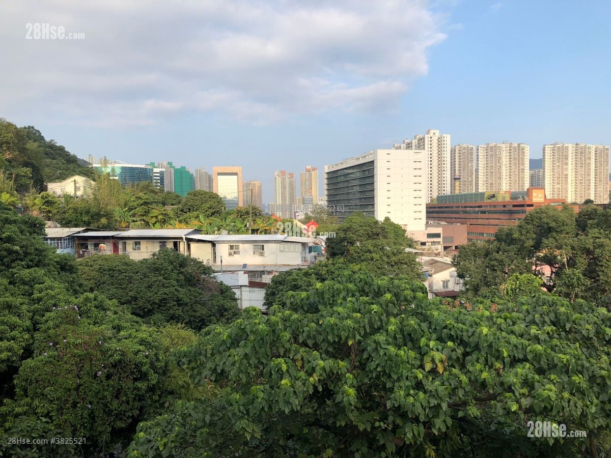 排头村 售盘 3 房 , 2 浴室 630 平方尺