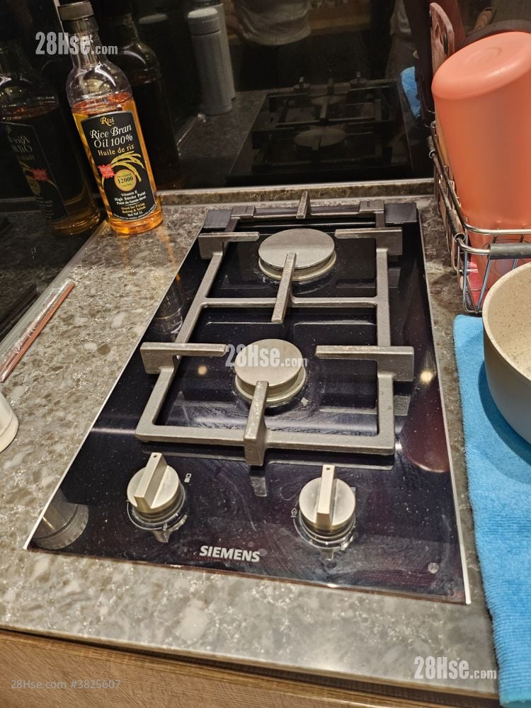 藝里坊2號 租盤 1 房 , 1 浴室 253 平方呎