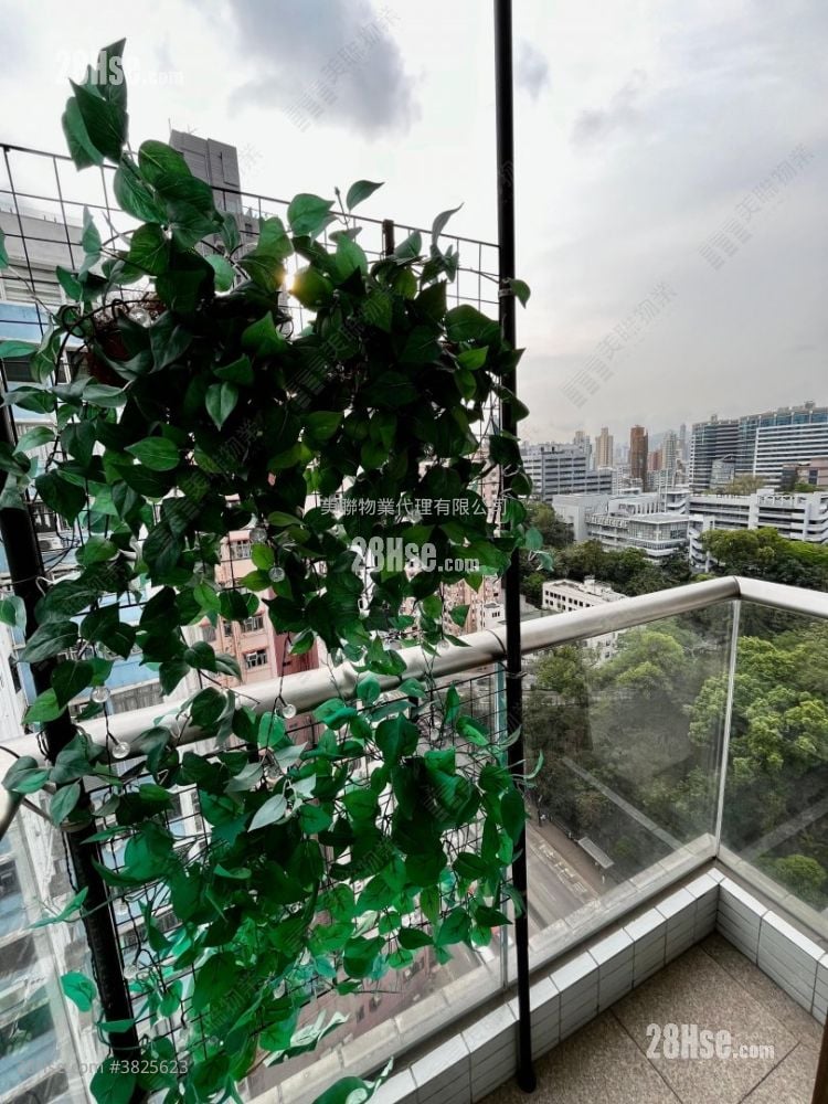 Kadoorie Lookout Sell 2 Bedrooms , 1 Bathroom 533 ft²
