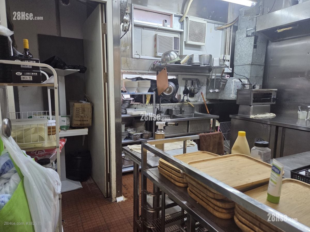 Camel Paint Building Rental