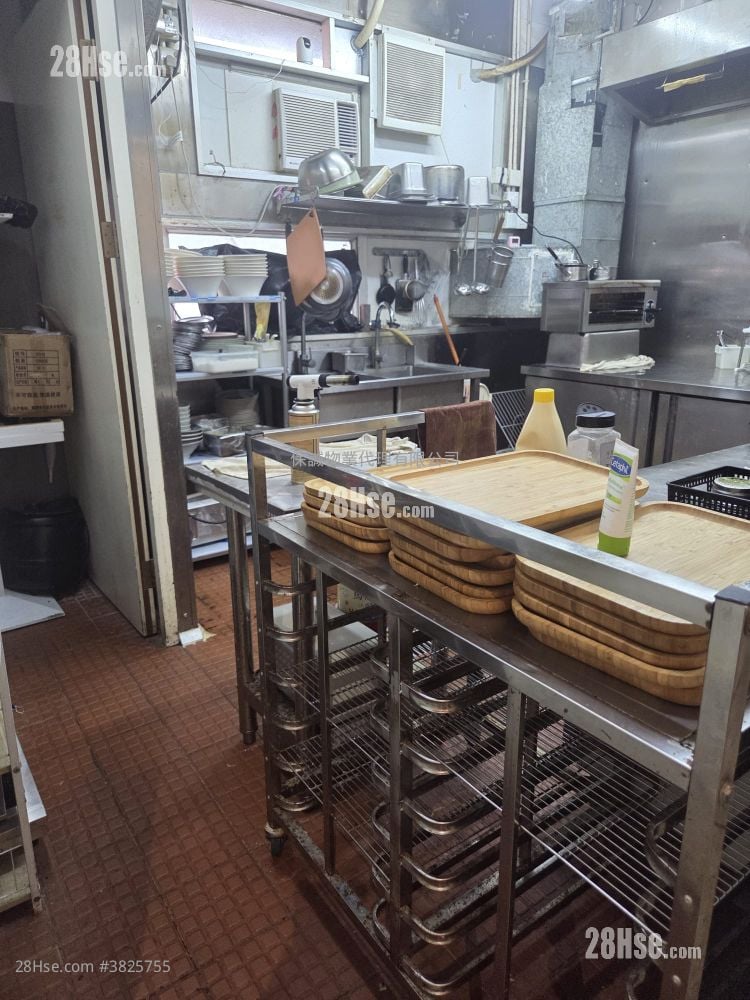 Camel Paint Building Rental