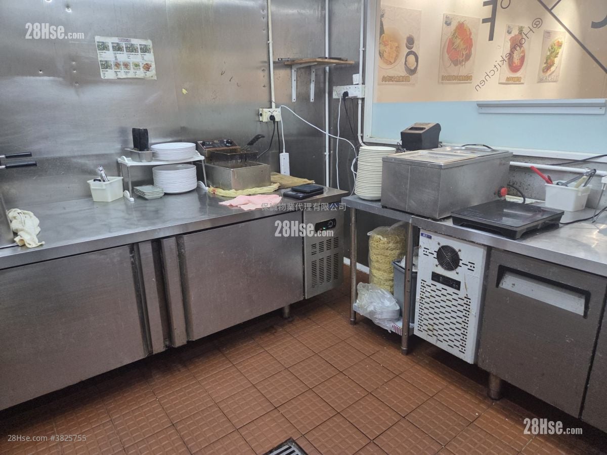 Camel Paint Building Rental