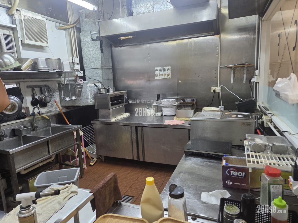 Camel Paint Building Rental