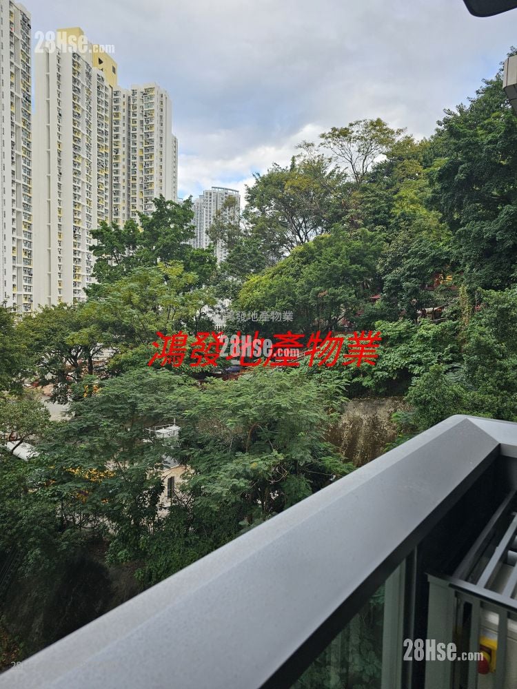 The Paddington Sell 1 Bedroom , 1 Bathroom 237 ft²