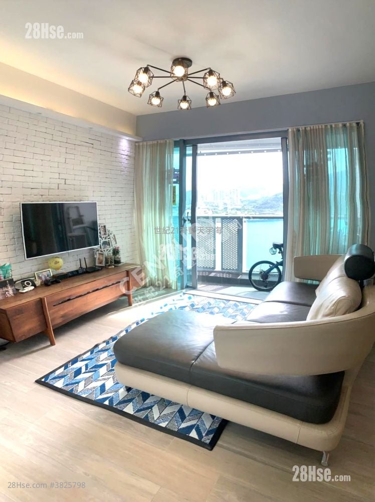 Jimmy豆生 63460809