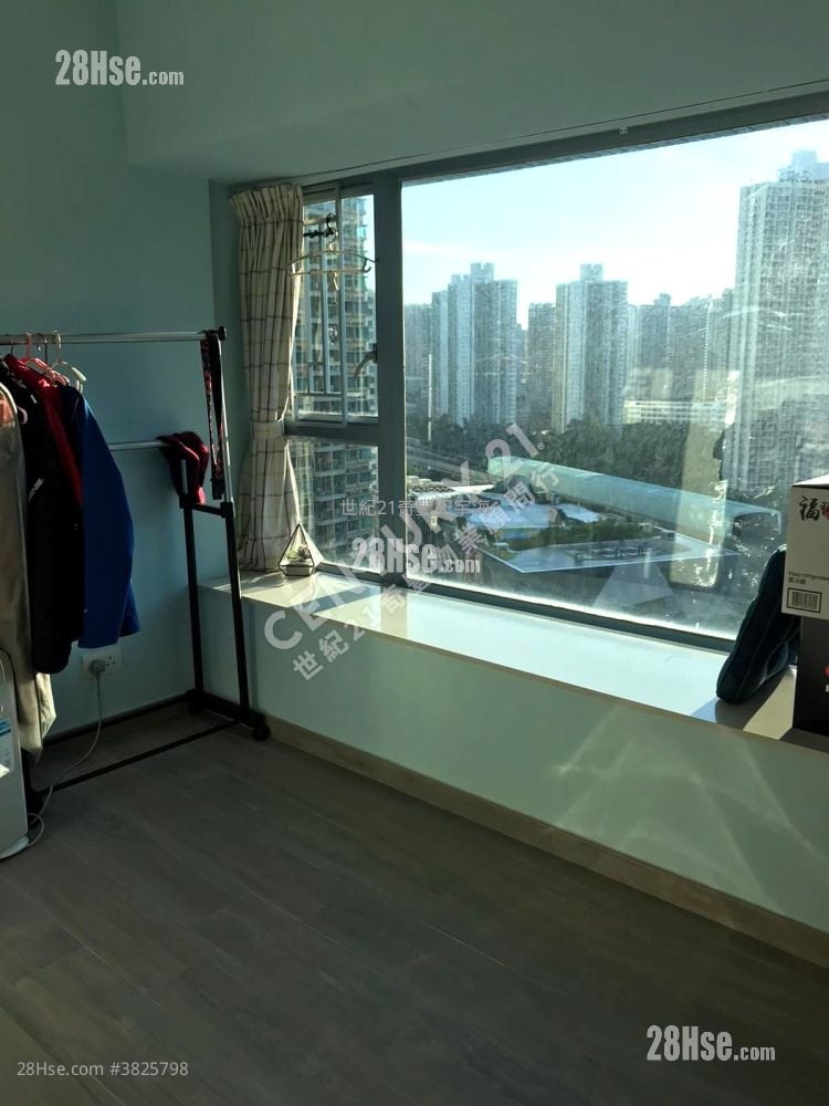 Jimmy豆生 63460809