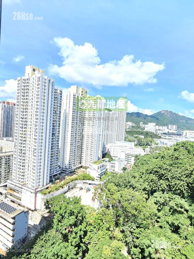 景怡峰 租盤 1 房 , 1 浴室 270 平方呎