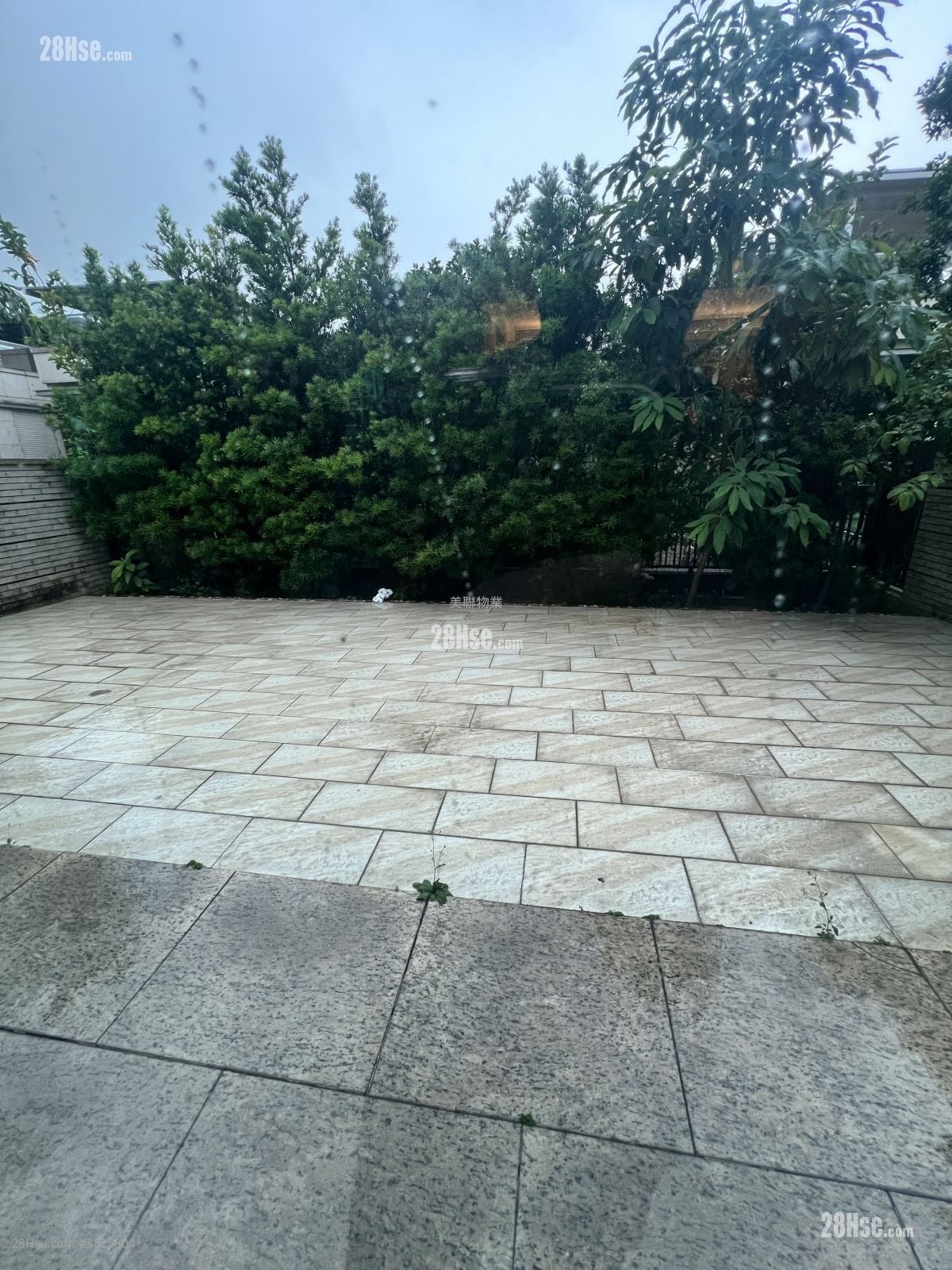 葡萄园 租盘 3 房 1,569 平方尺