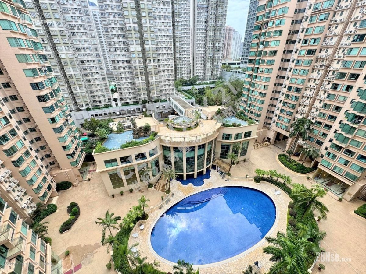 Jimmy豆生 63460809