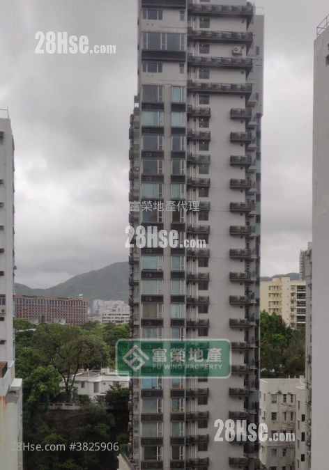 典雅大廈 售盤 2 房 , 1 浴室 325 平方呎