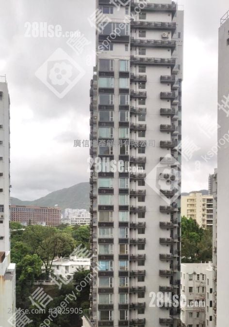 典雅大廈 售盤 2 房 , 1 浴室 325 平方呎