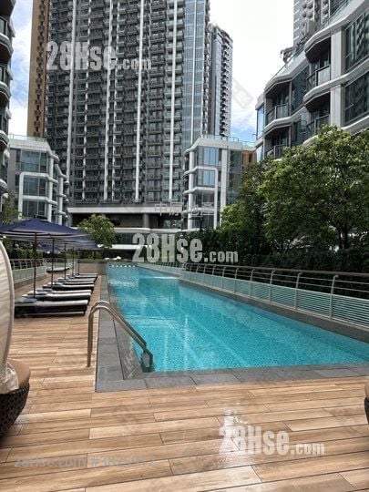 Monaco One Rental 2 Bedrooms , 1 Bathroom 445 ft²