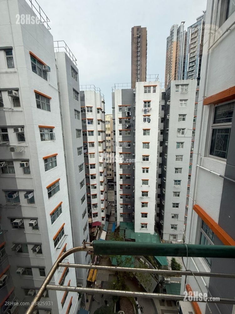 美居中心 租盘 2 房 , 1 浴室 299 平方尺