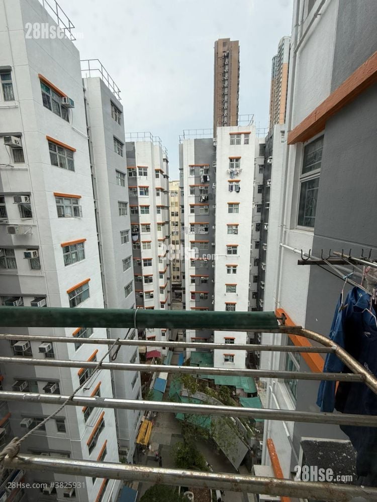 美居中心 租盘 2 房 , 1 浴室 299 平方尺