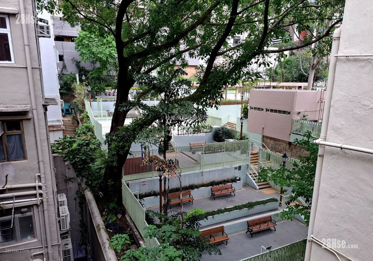 Chinese Mansion Rental 2 Bedrooms , 1 Bathroom 395 ft²