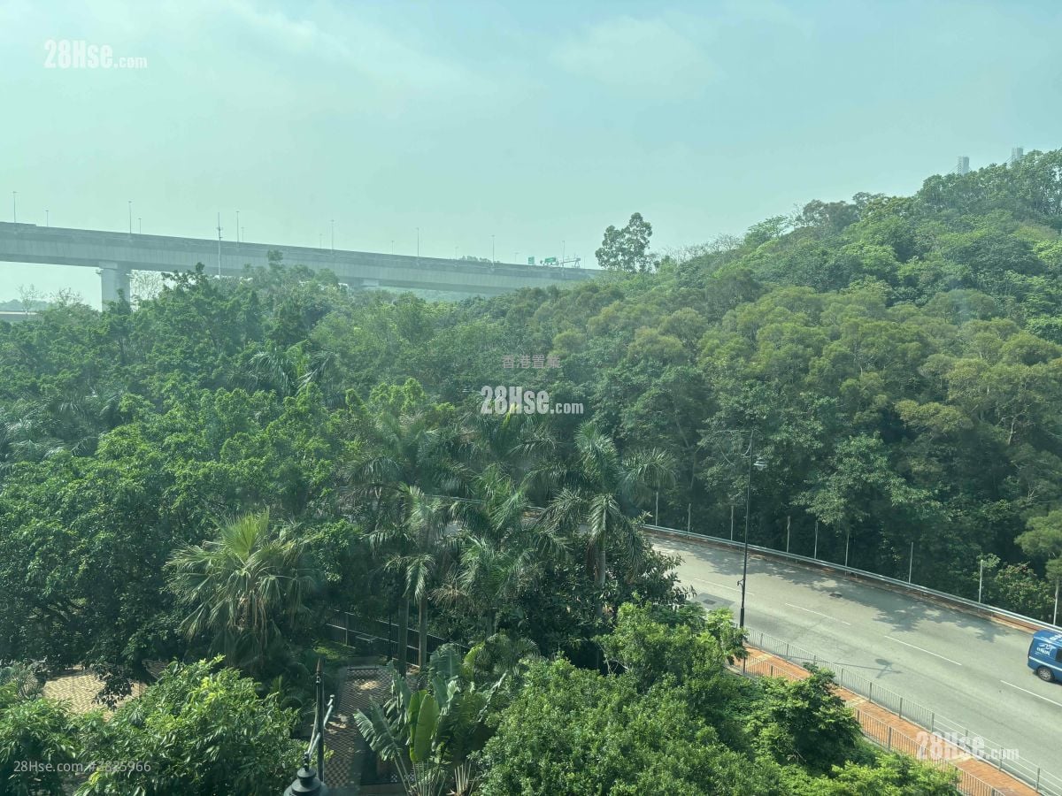 Park Island Rental 1 Bedroom , 1 Bathroom 361 ft²