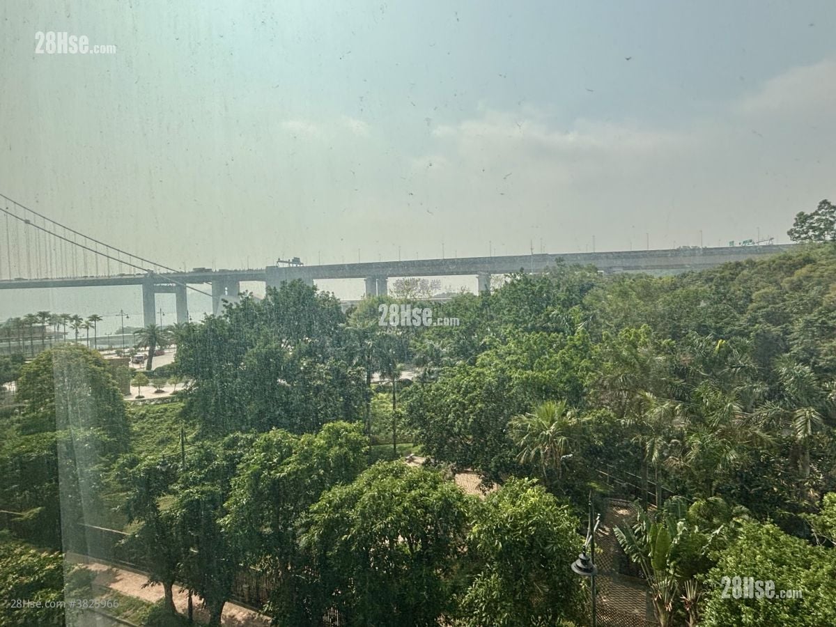 Park Island Rental 1 Bedroom , 1 Bathroom 361 ft²