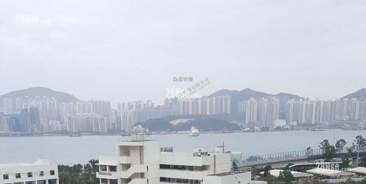 僑英大廈 租盤 1 房 , 1 浴室 319 平方呎