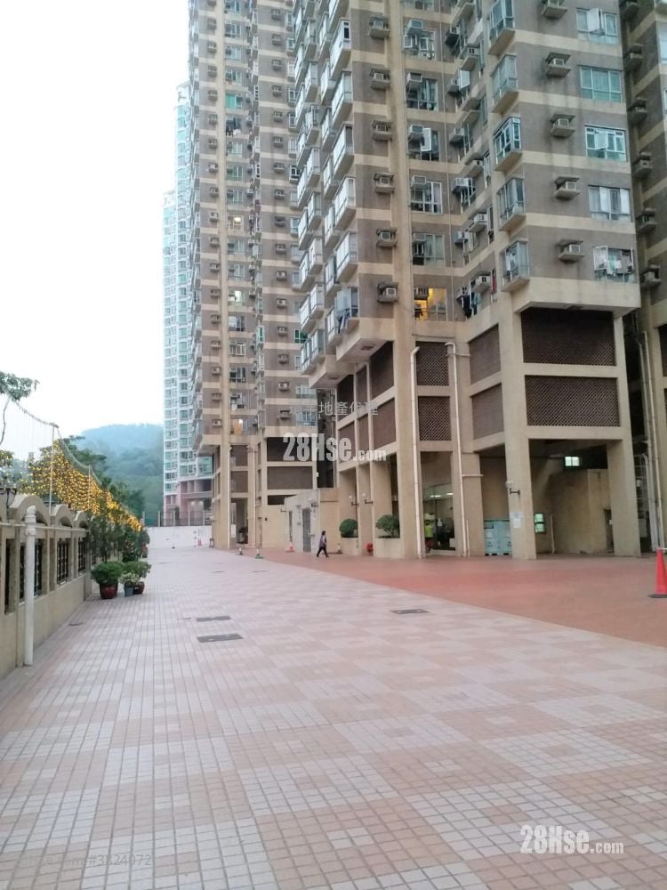 怡樂花園 租盤 2 房 , 1 浴室 414 平方呎