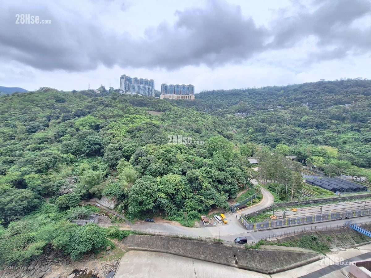 荃灣中心 租盤 1 浴室 324 平方呎