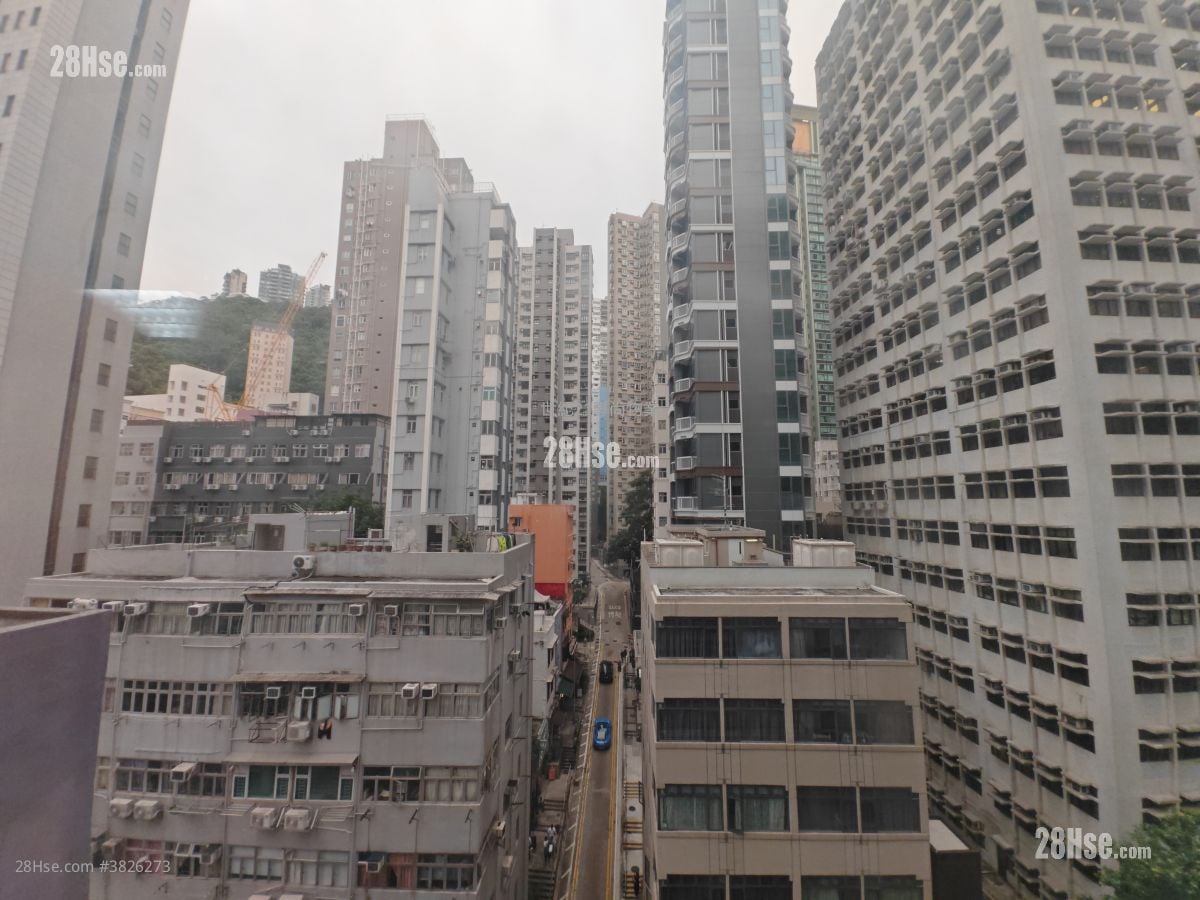 坚雄商业大厦 租盘