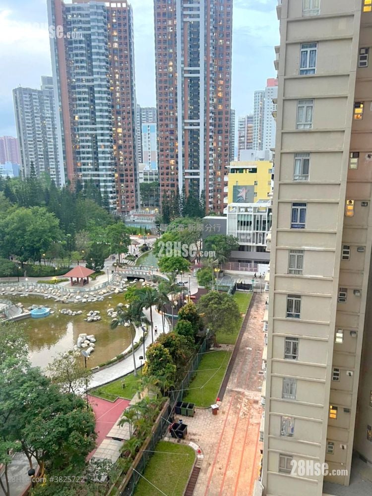 Yee Tsui Court Rental 2 Bedrooms , 1 Bathroom 429 ft²