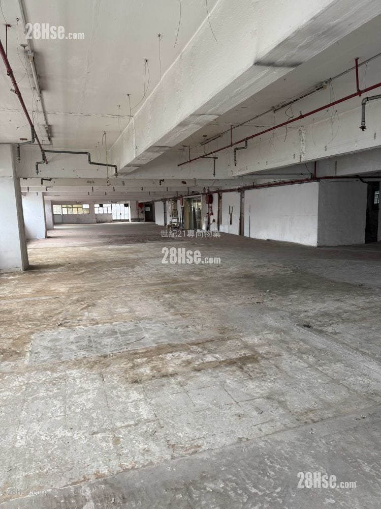 金發工業大廈 租盤