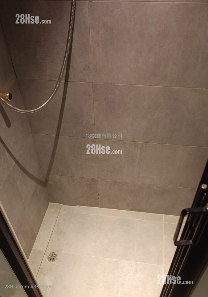 Apartment Rental Studio , 1 Bathroom 150 ft²