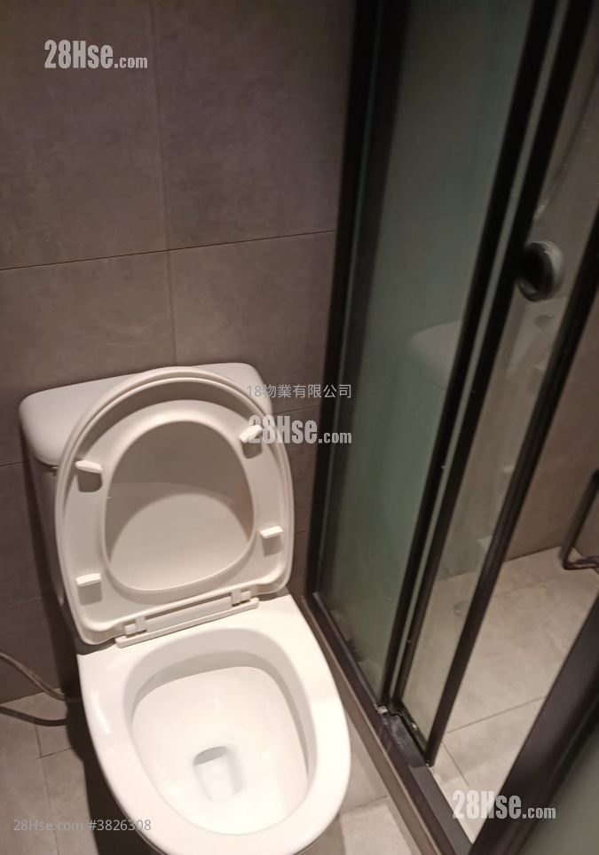 Apartment Rental Studio , 1 Bathroom 150 ft²