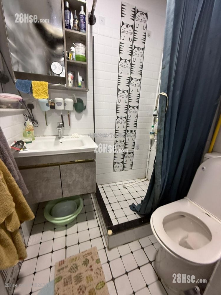 丰盛苑 售盘 381 平方尺