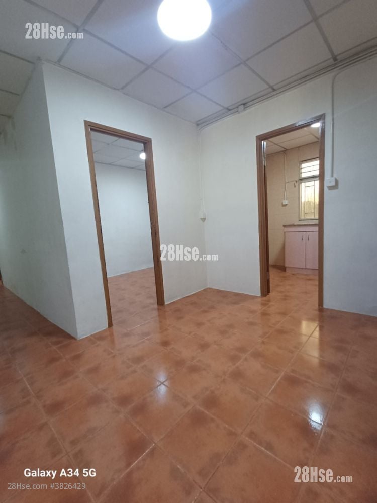 白田新村 租盤 2 房 , 1 浴室 350 平方呎