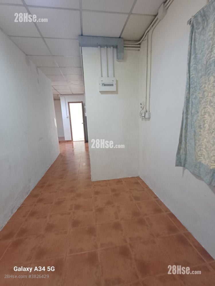 白田新村 租盤 2 房 , 1 浴室 350 平方呎