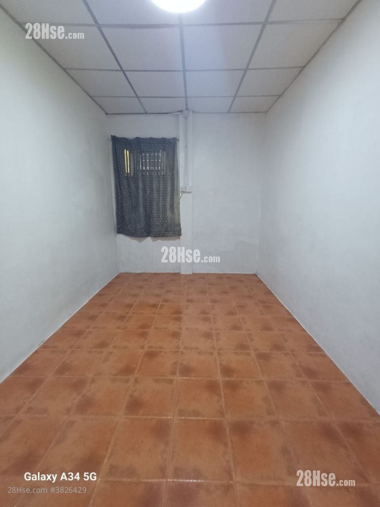 白田新村 租盤 2 房 , 1 浴室 350 平方呎