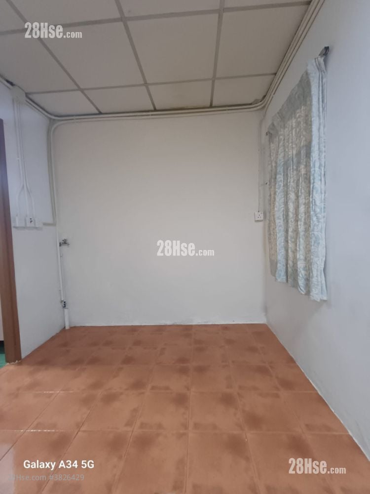 白田新村 租盤 2 房 , 1 浴室 350 平方呎