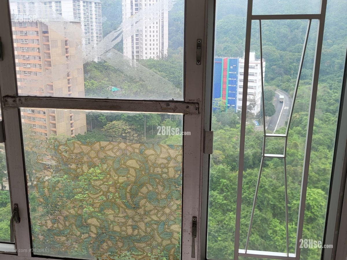 景观: 金狮花园 售盘 1 房 , 1 浴室 270 平方尺