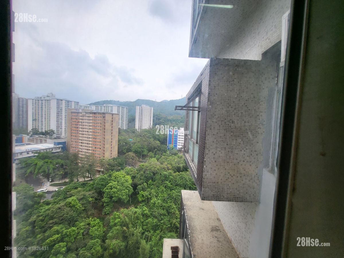 景观: 金狮花园 售盘 1 房 , 1 浴室 270 平方尺