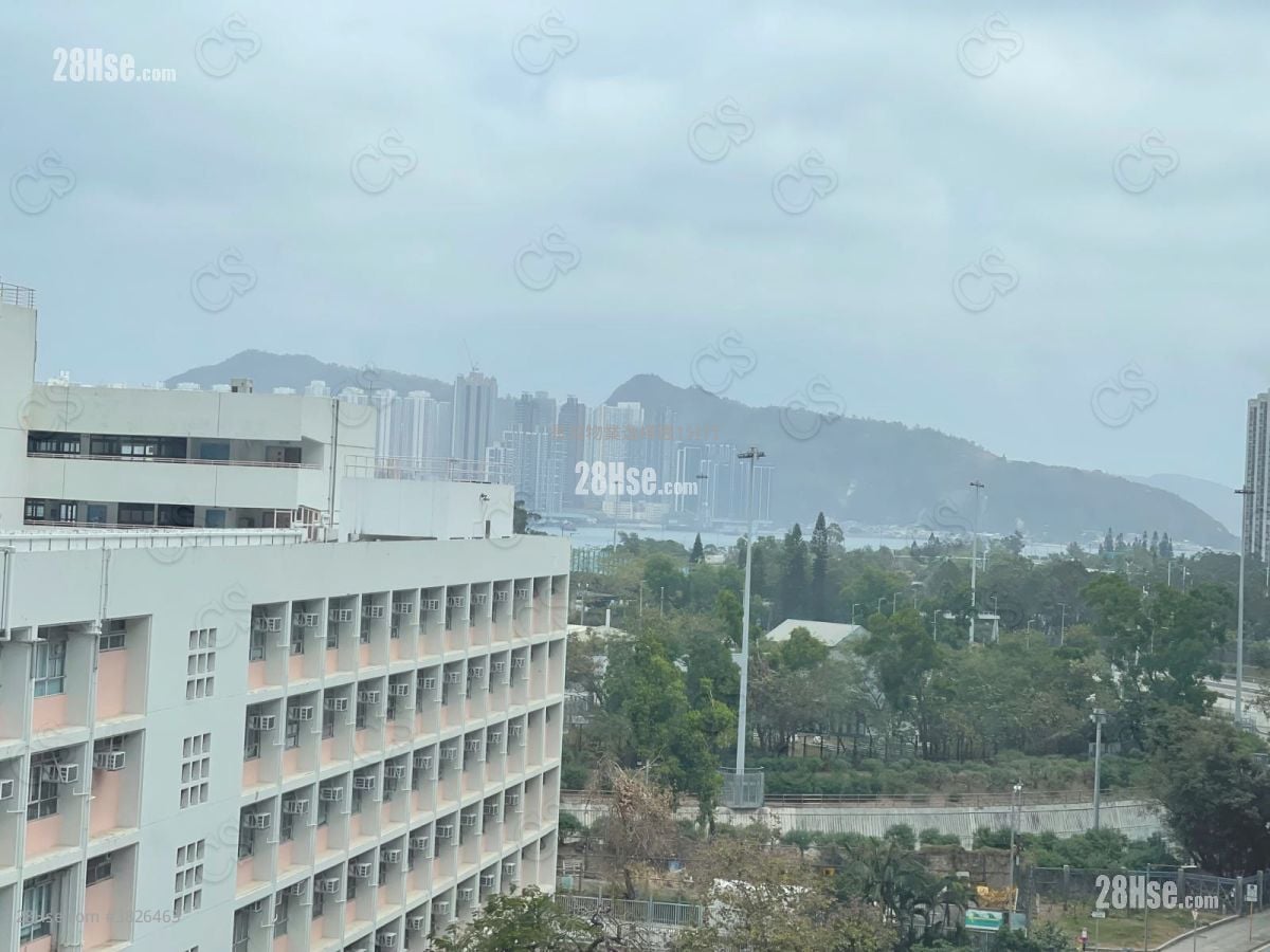 Finnie 租盤 2 房 , 1 浴室 364 平方呎