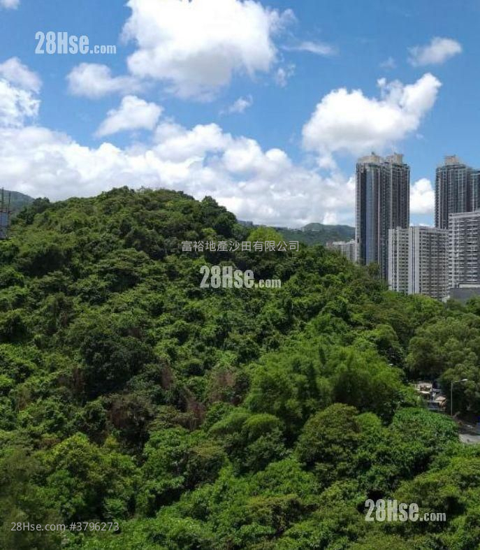 金獅花園 售盤 1 房 , 1 浴室 266 平方呎