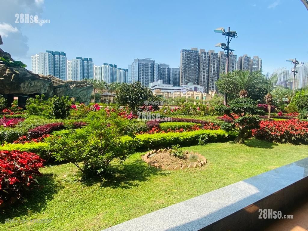 映灣園 租盤 2 房 , 1 浴室 544 平方呎