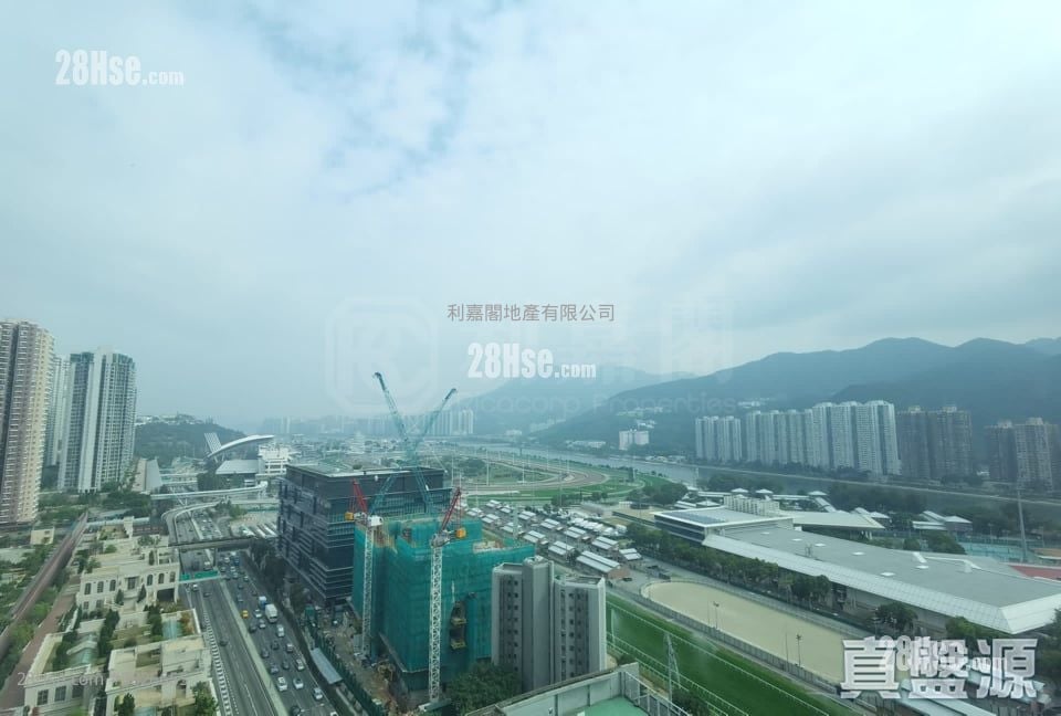 御龍山 租盤 3 浴室 1,426 平方呎