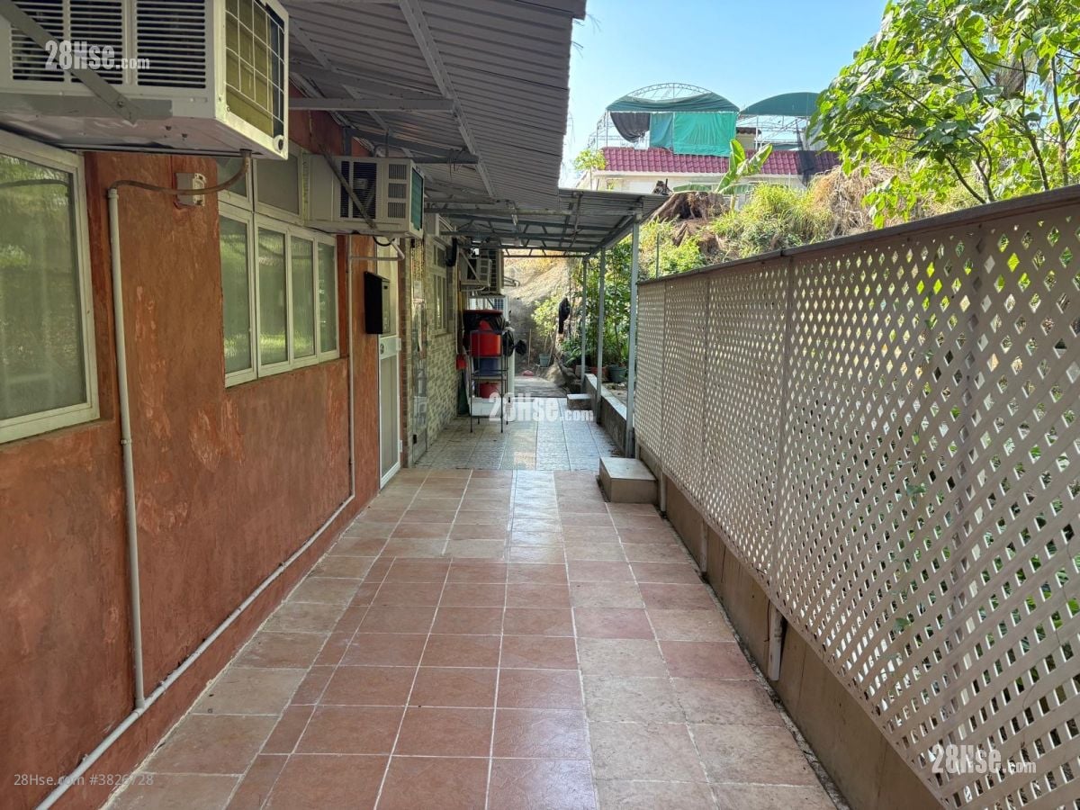 北社新邨 售盤 開放式間隔 , 1 浴室 350 平方呎