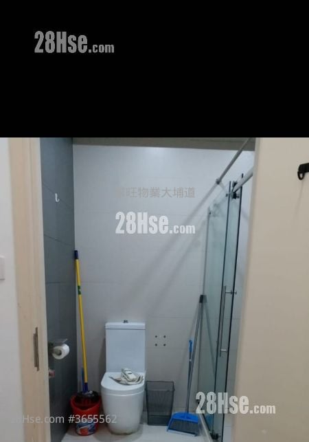 SOLO 租盤 開放式間隔 , 1 廁所 313 平方呎