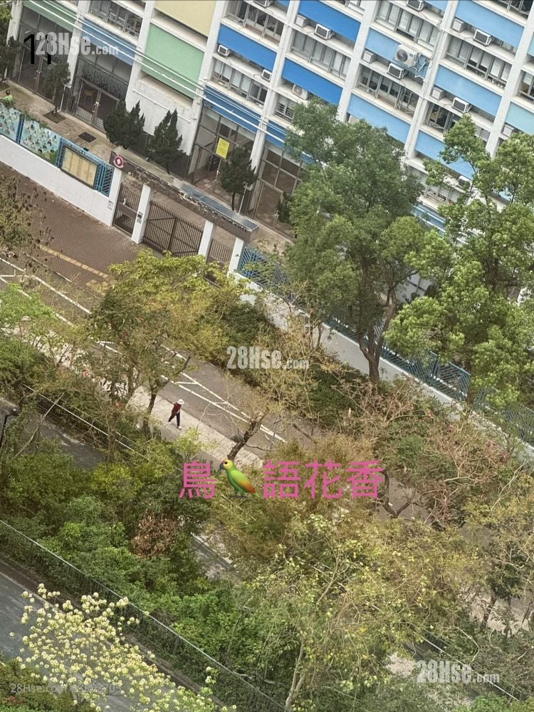 View: 四季美景180度盡入眼簾