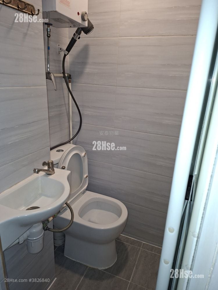 Tenement House Rental Studio , 1 Bathroom 100 ft²