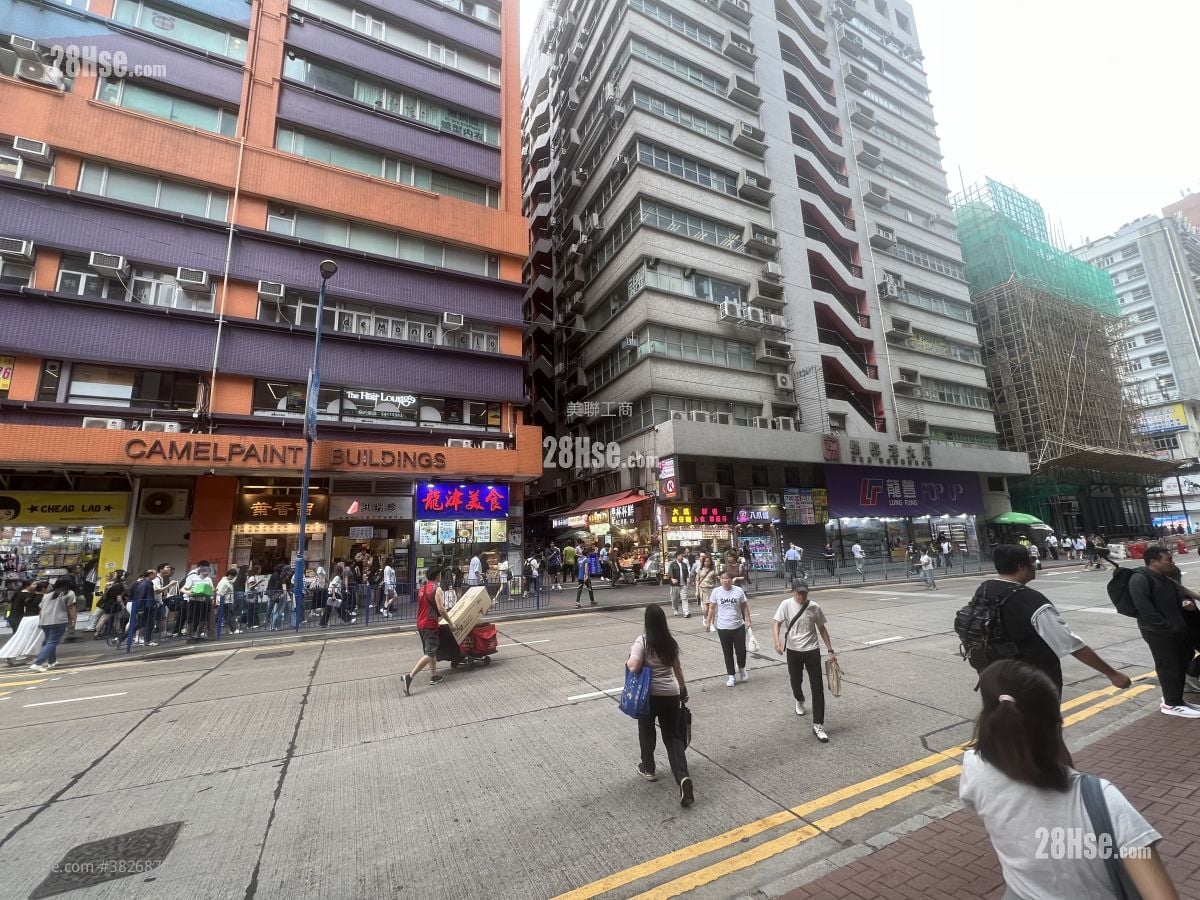 Camel Paint Building Sell