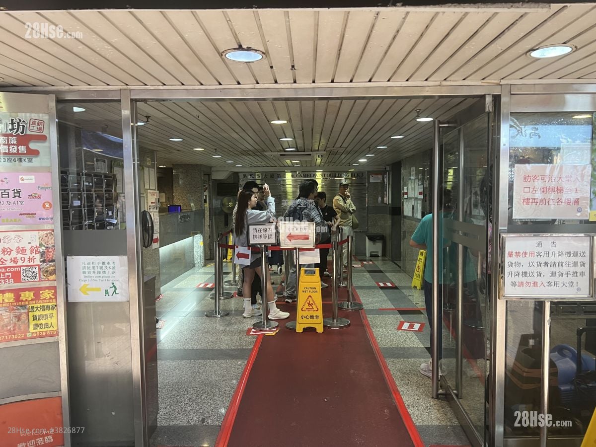 Camel Paint Building Sell