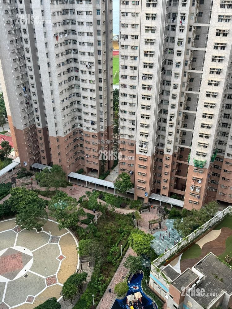 富欣花园 售盘 2 房 , 1 浴室 484 平方尺